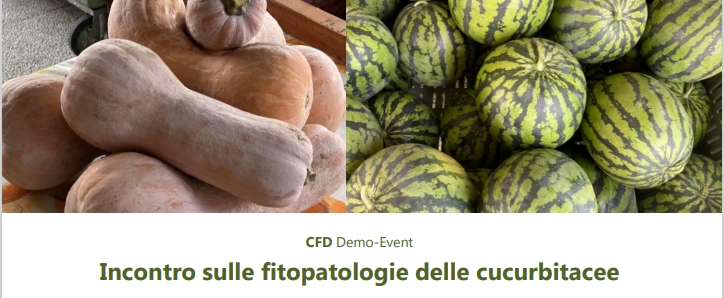 Convegno_cucurbitacee_home.jpeg