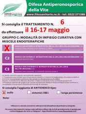 Boll_6_C1zolfo_16-17-05.jpg