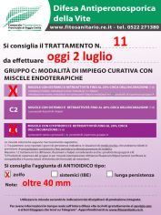 Boll_11_C1-C3zolfo_oggi_02-07.jpg