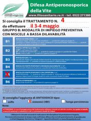 Boll_4_B5IBE_3_4-05.jpg