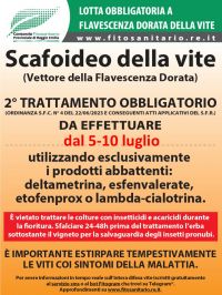 Boll_Scafoideo_2_5-10luglio.jpg