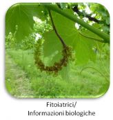 Fitoiatrici.jpg